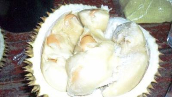 Durian Juntak Margana