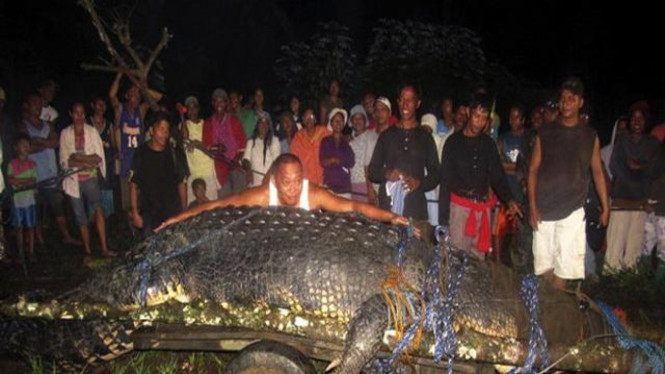 Penemuan buaya raksasa di Provinsi Agusan del Sur, Filipina