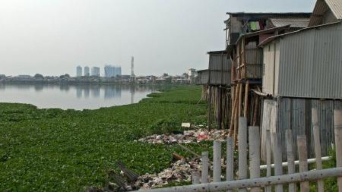 Pendangkalan Danau Pluit, Jakarta