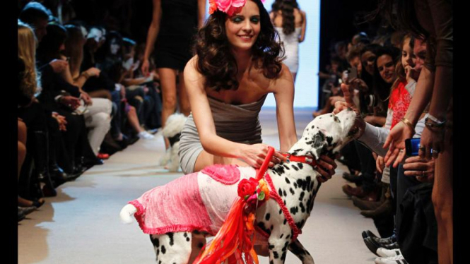 Fashion show anjing di Argentina