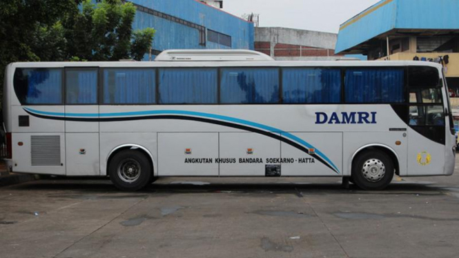 Bus damri