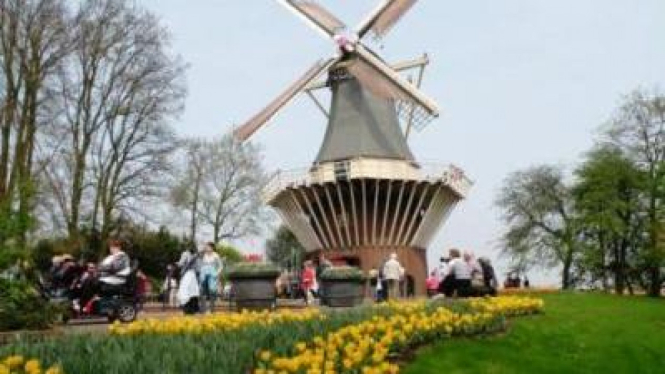 Taman bunga Keukenhof Belanda