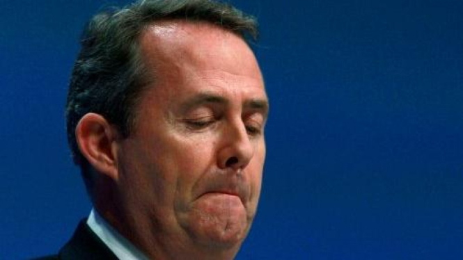 Menteri Perdagangan Internasional Inggris, Liam Fox.