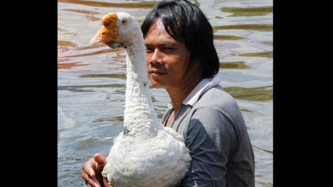 Hewan-hewan korban banjir Thailand