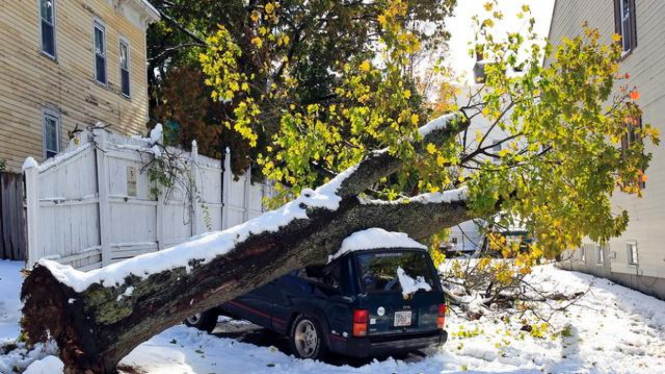 Dampak badai salju di Kota Worcester, Massachusetts, AS