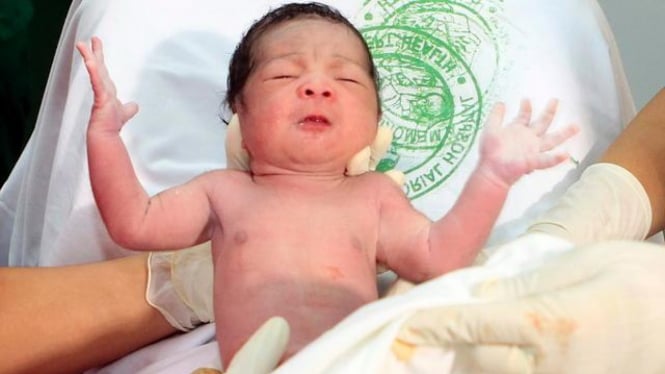 Danica Camacho, bayi yang lahir pada 31 Oktober 2011