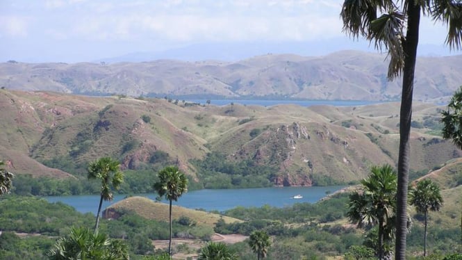 Keindahan Taman Nasional Komodo