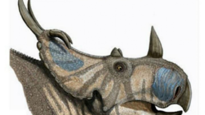 Dinosaurus Spinops sternbergorum