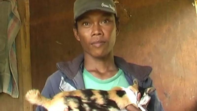 Kucing lafaz Allah di Kubu Raya, Kalimantan Barat