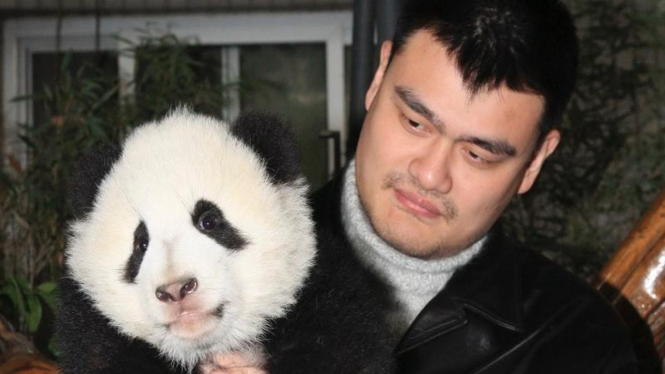 Yao Ming bersama seekor anak panda di Chengdu China