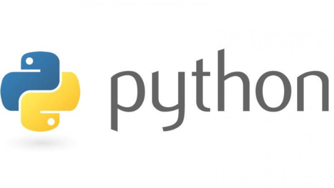 Bahasa pemoggraman Python