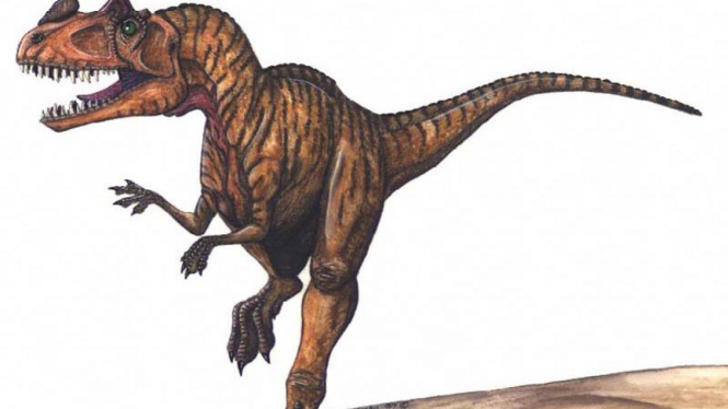 Ceratosaurus, Pesaing T-rex Berukuran Kecil