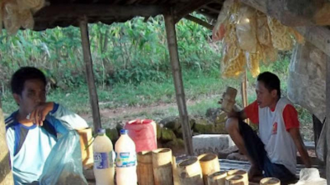 Tradisi minum tuak di Tuban