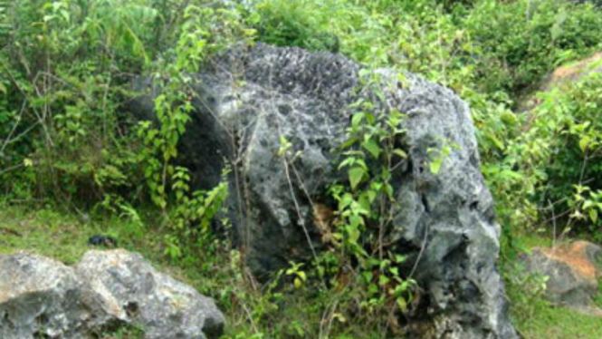 batu gajah di Tuban