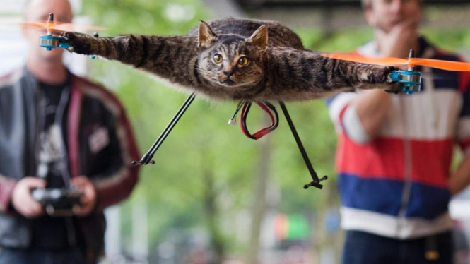 FOTO: Kucing Terbang Karya Seniman Belanda