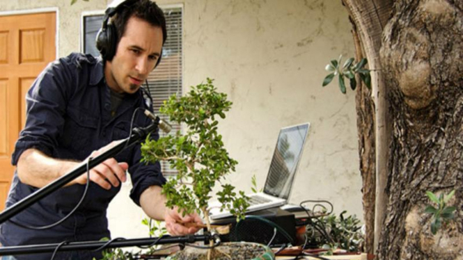 Diego Stocco, memainkan musik dari tanaman