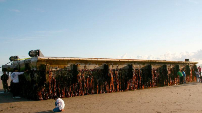 Puing pelabuhan tsunami Jepang hanyut ke Oregon, AS