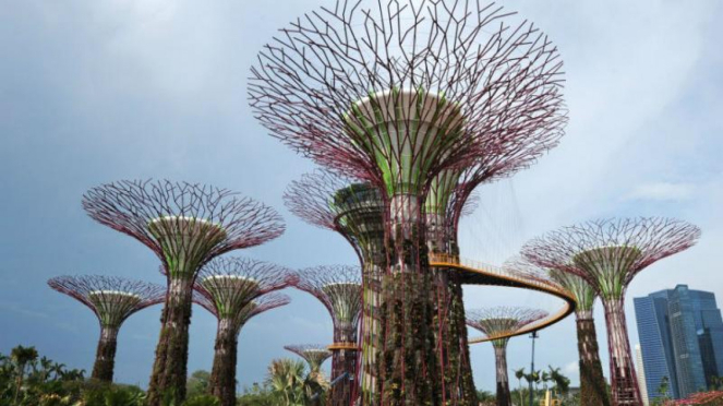 Pohon ajaib supertree di ekowisata Gardens By The Bay