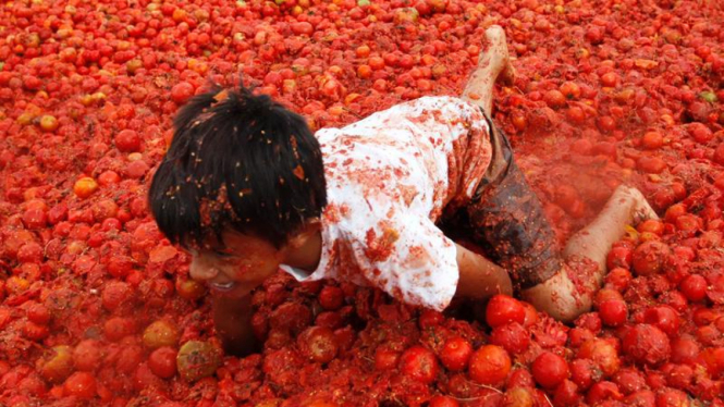 Perang tomat di Kolombia