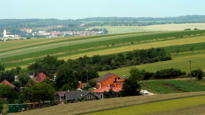 Hamparan ladang gandum di Slowakia