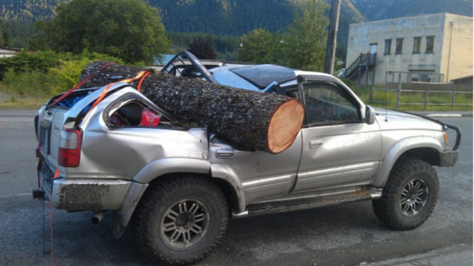 Toyota 4Runner tertimpa pohon