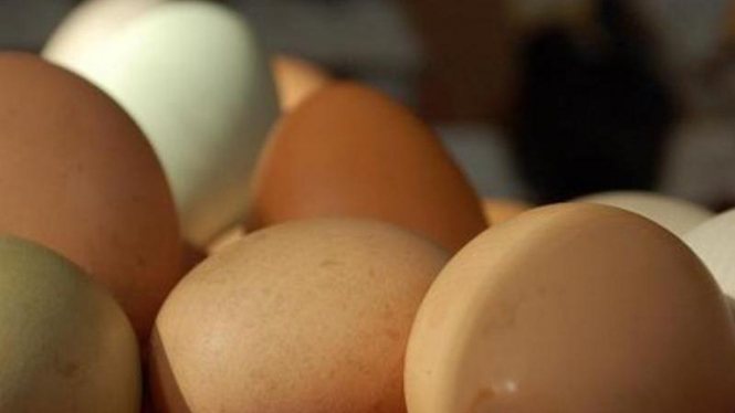 Telur sebagai salah satu sumber makanan yang kaya akan kolin