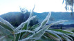 Photo Mini 5