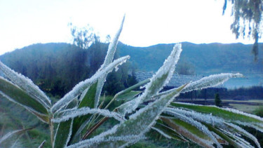 Photo Mini 5