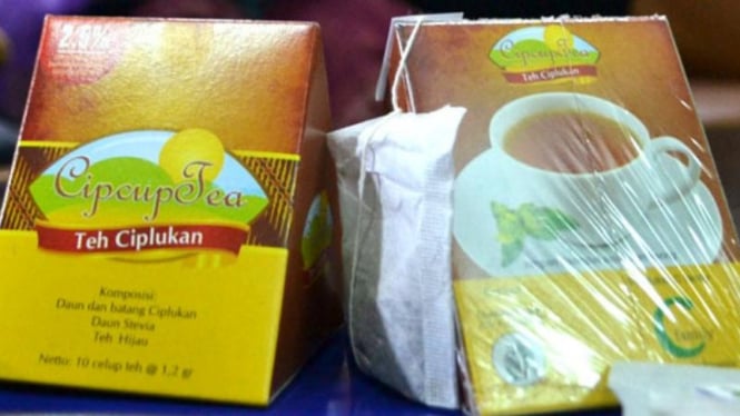 Cipcup Tea, teh obat diabetes dari buah ciplukan