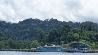 Nickel Mining Damages Environment on Manuran Island, Minister Says