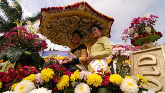 Terungkap Kembang 'Impor' di Balik Festival Bunga Tomohon