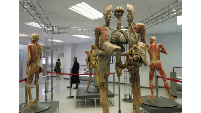 Museum Tubuh Manusia di Bangkok (KHUSUS GALERI)