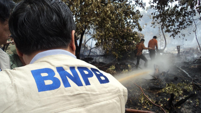 Kebakaran hutan di Jambi picu kabut asap yang terbang hingga ke Riau