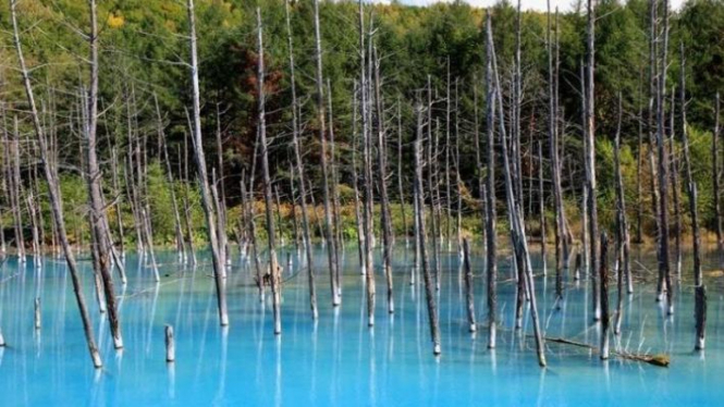 blue pond hokaido