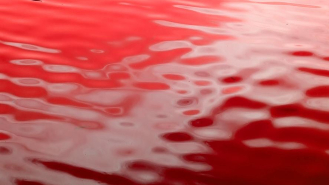 (ilustrasi) air sungai Yangtze menjadi merah