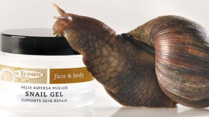 snail cream