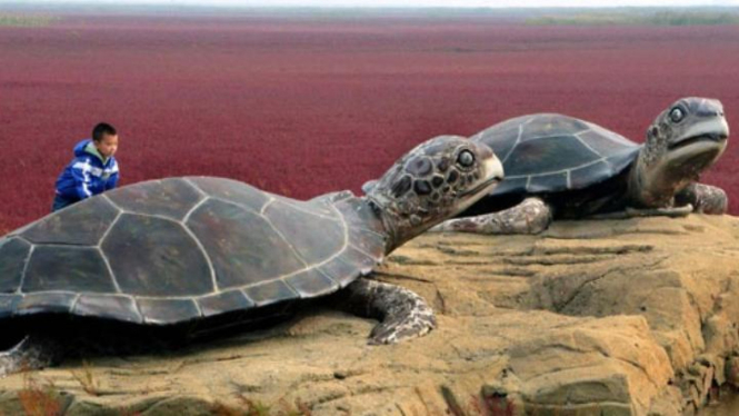 red beach china