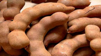 Manfaat Menakjubkan Asam Jawa untuk Wajah