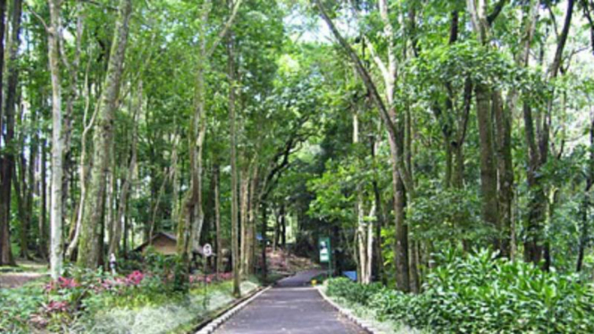Taman Hutan Raya Bandung