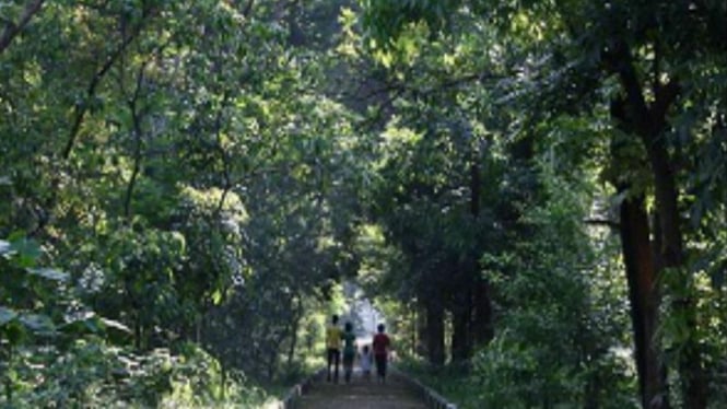 Hutan Kota Srengseng