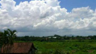 Pulang Ke Jember, Ada Apa? (Bagian 1)