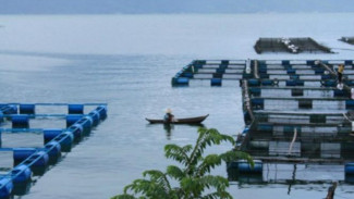 Menikmati Keindahan Danau Maninjau