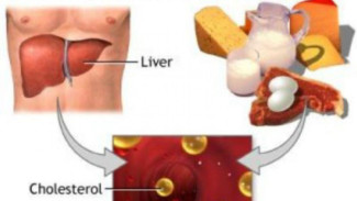 Turunkan Kolesterol Tinggi dengan Apel dan Jahe, Caranya Mudah