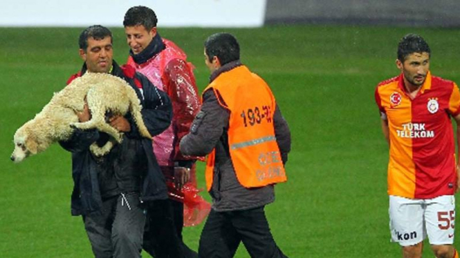 Anjing Labrador mengganggu laga Galatasaray versus VfR Aalen