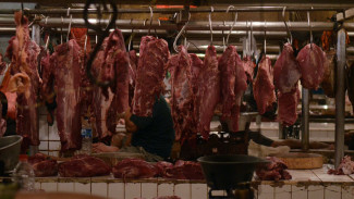 Harga Daging Sapi Naik, PD Dharma Jaya Siap Bantu Operasi Pasar