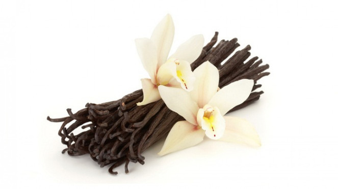 Vanilla