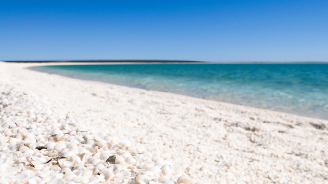Shell Beach di Australia