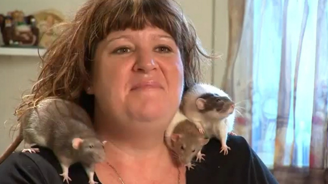 Chantal Banks dan tikus peliharaannya