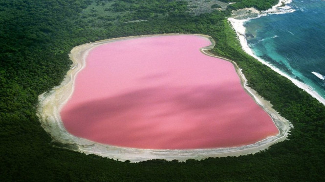 Danau Pink