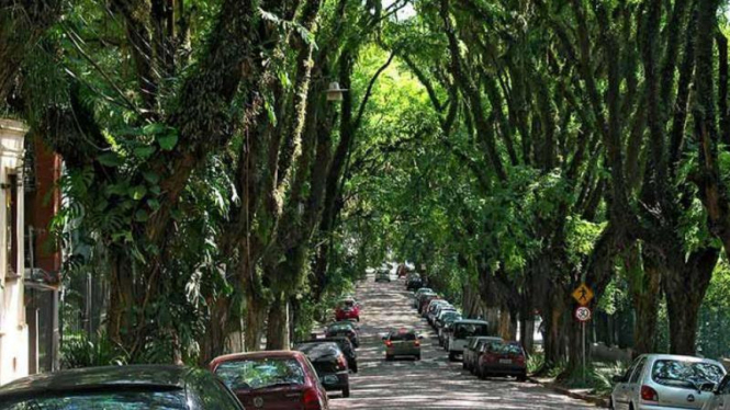 Rua Goncalo de Carvalho